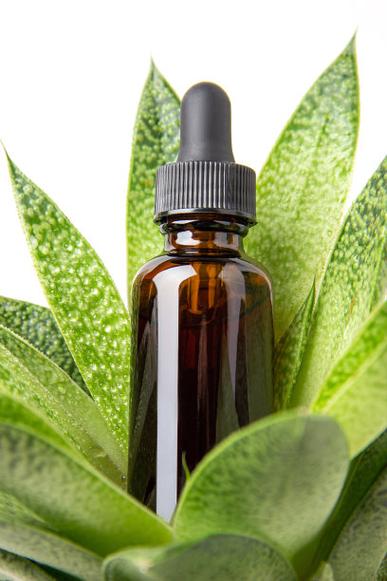 绿意奢护 当热带植物精华遇见棕色滴瓶